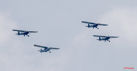 Four Piper L-Birds