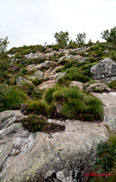 The next phase of the hike - not taken